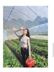 南山小美